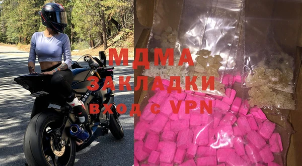 хмурый Аркадак