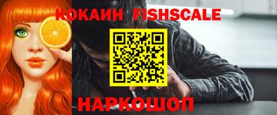 СК Гатчина