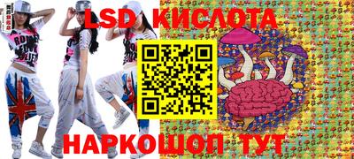 PSILOCYBIN Гай