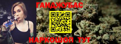 СК Гатчина