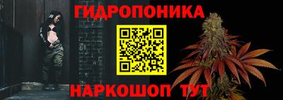 PSILOCYBIN Гай