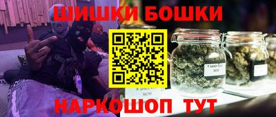 СК Гатчина