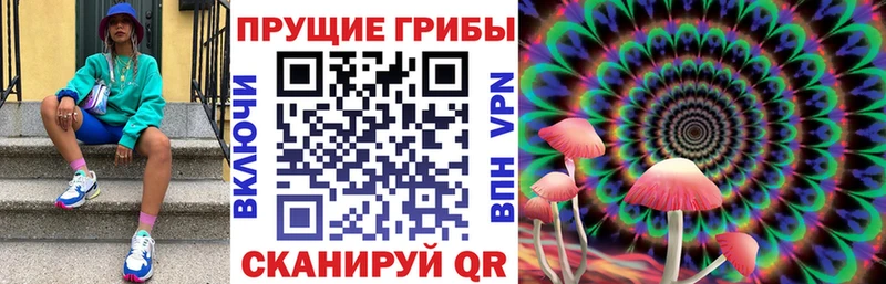 где купить наркотик  Набережные Челны  Псилоцибиновые грибы Psilocybine cubensis 