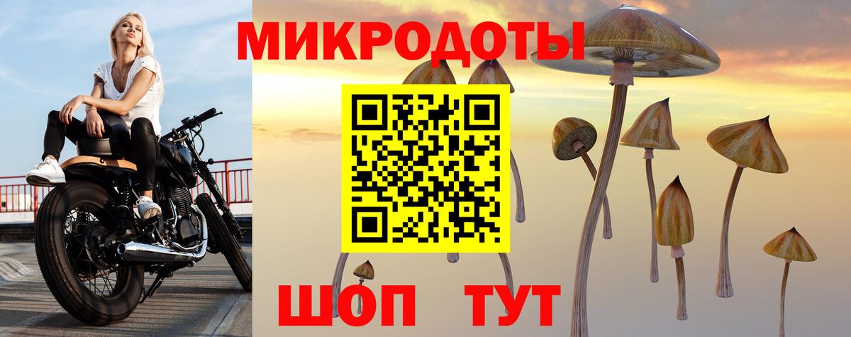 Набережные Челны  Псилоцибиновые грибы Psilocybe  Вход с VPN 